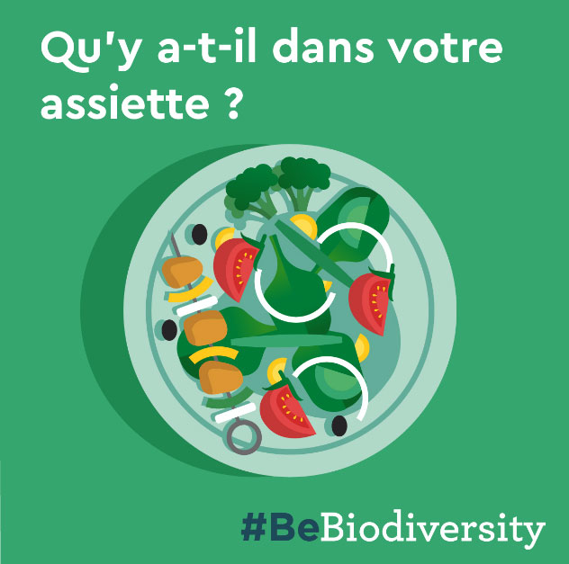 Be Biodiversity - Web development Survey by Arctik