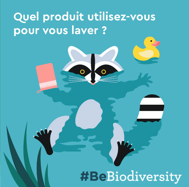 Be Biodiversity - Web Design - Survey by arctik